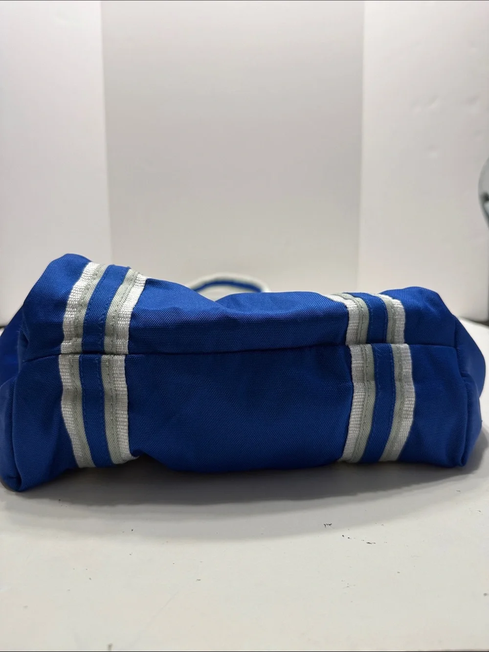 Bright Blue Striped Canvas Tote with Contrasting Trim